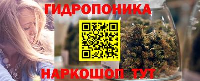 прущие грибы Ачхой-Мартан
