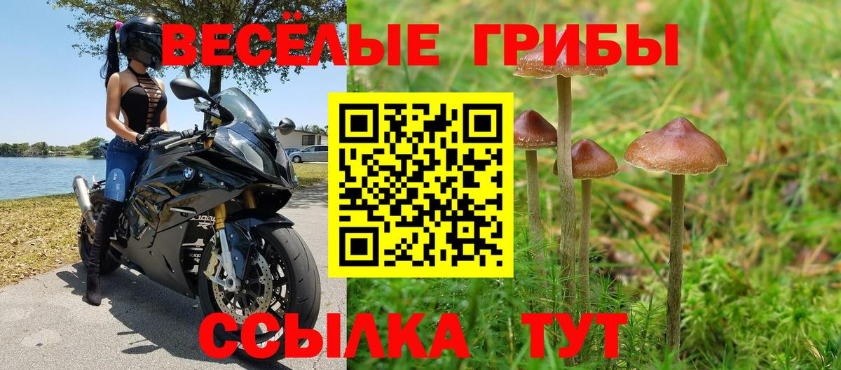 Псилоцибиновые грибы мухоморы Сорочинск