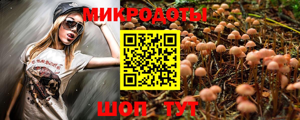 Псилоцибиновые грибы Cubensis  Вход с VPN  Сорочинск 